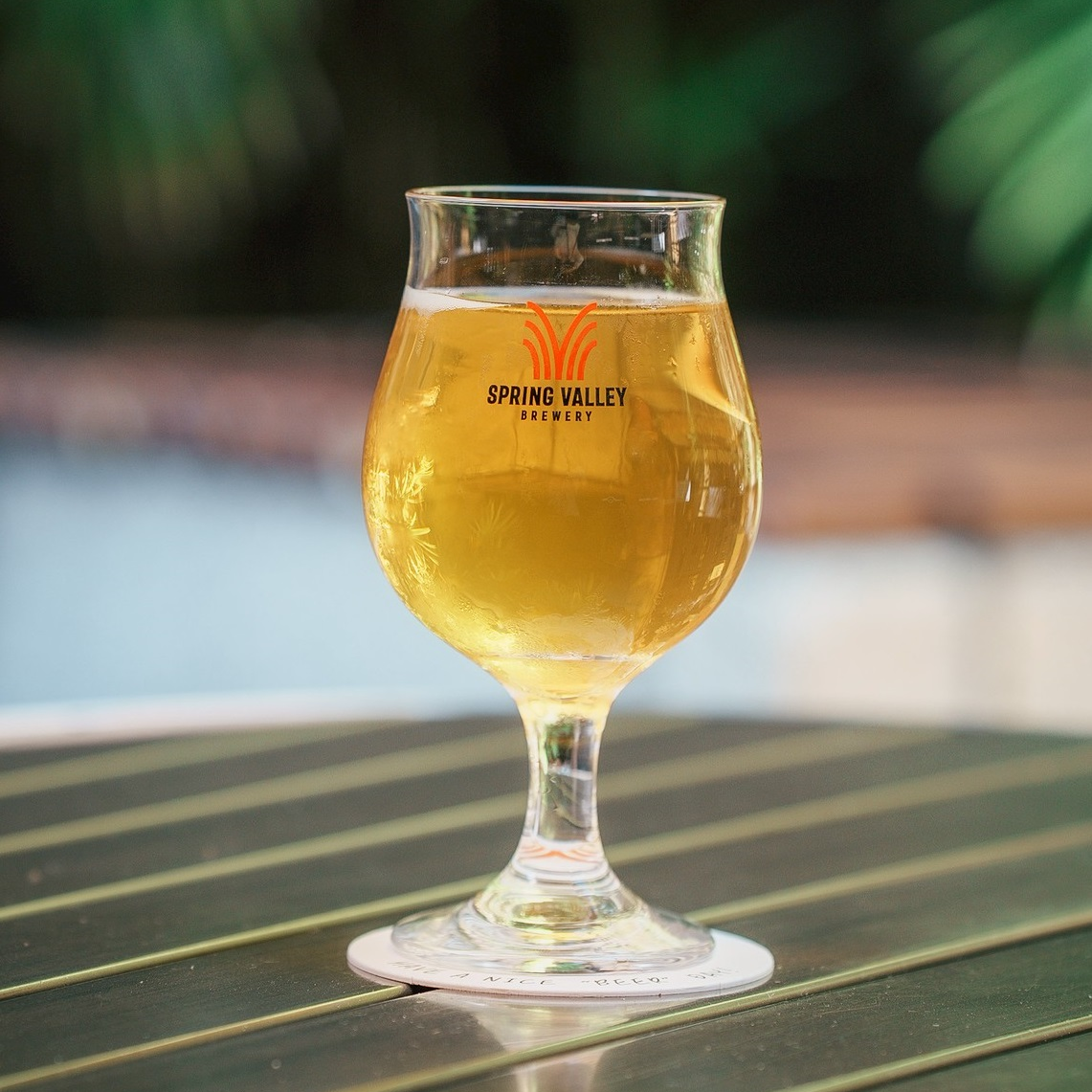 まぁ坊SPRING VALLEY BREWERY 3種　48本 100.jpg