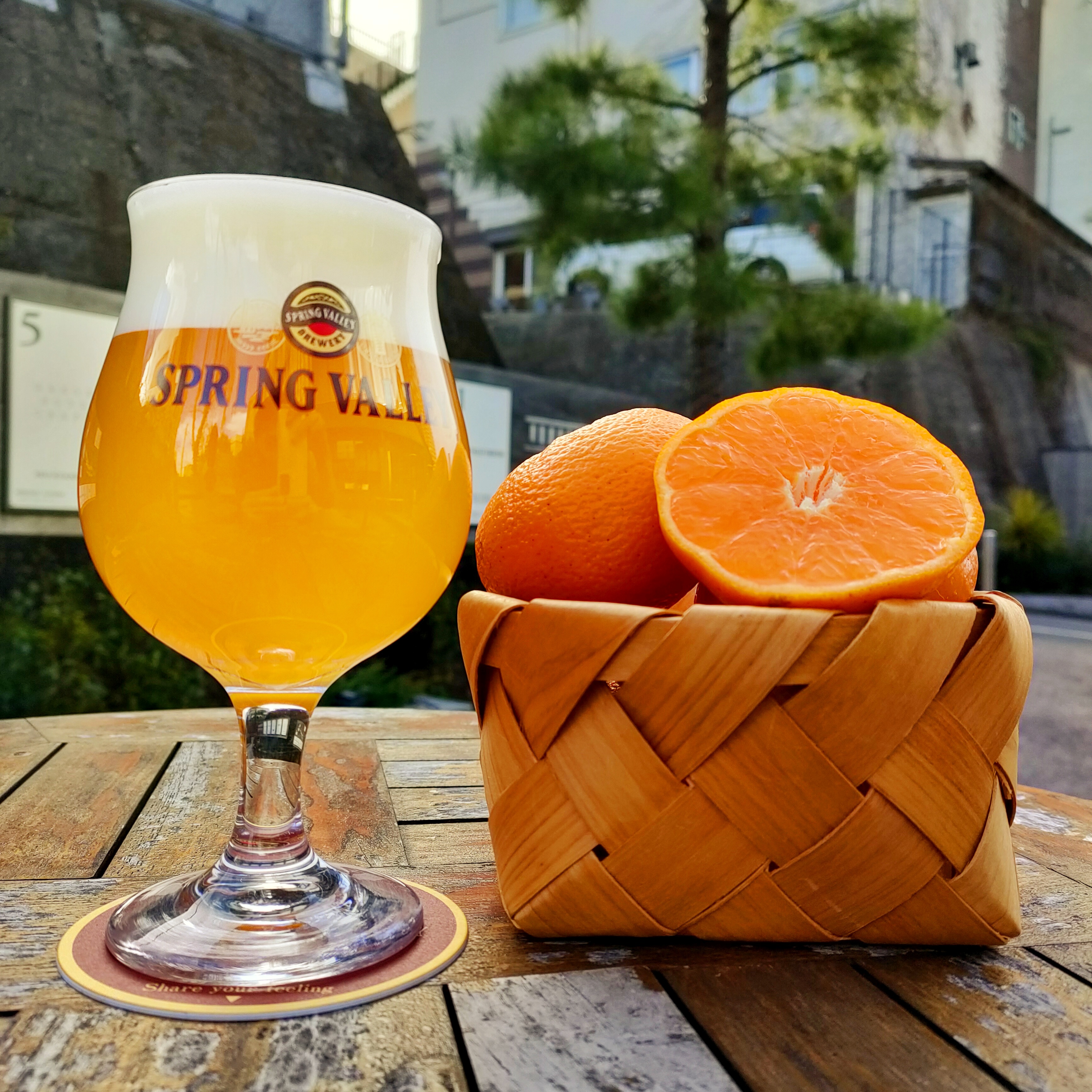 磯崎さんちの小田原みかん｜OUR CRAFT BEER | スプリングバレー